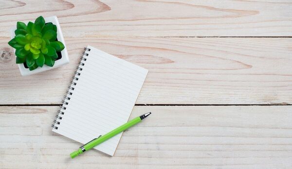 Cuaderno y planta sobre escritorio claro